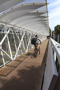 在桥上骑自行车图片