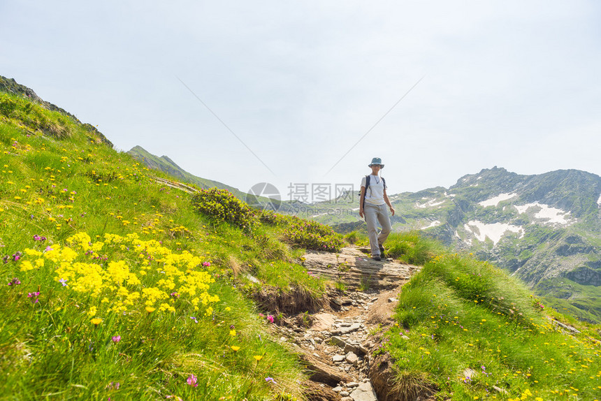 一个人在意大利阿尔卑斯山的人行道上徒步上山阿尔卑斯山的夏季冒险和探索从下图片