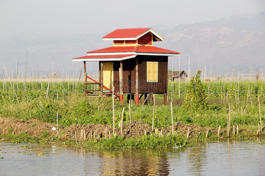 缅甸掸邦茵莱湖水上花园中的高跷小屋图片