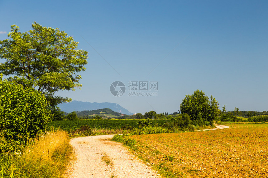 伊利田间国与图片