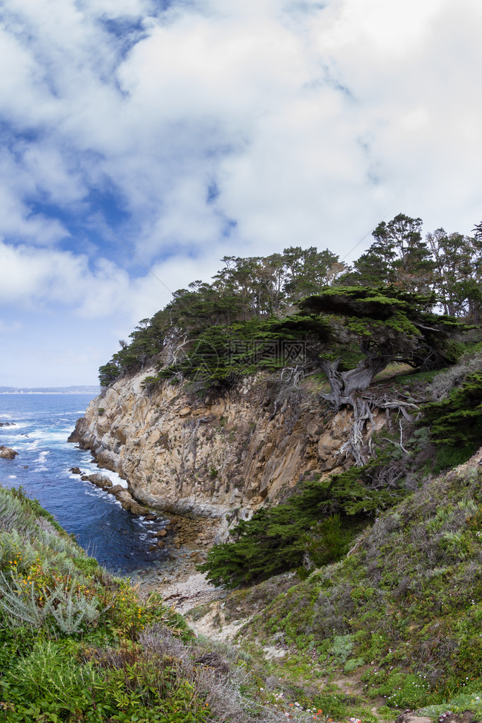 加州海岸悬崖上美丽图片