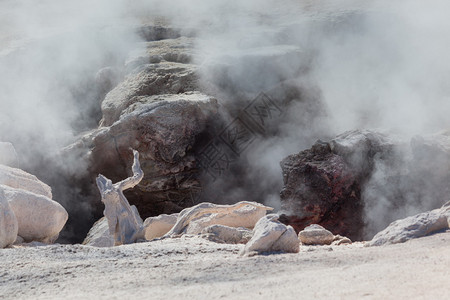 黄石公园的红spouter热喷口释放热蒸汽图片