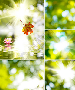 太阳和美丽花朵的抽象图像图片