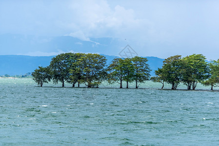 斯里兰卡的湖景图片