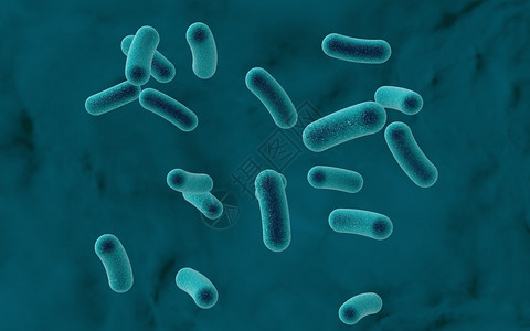 彩色下的细菌高清图片