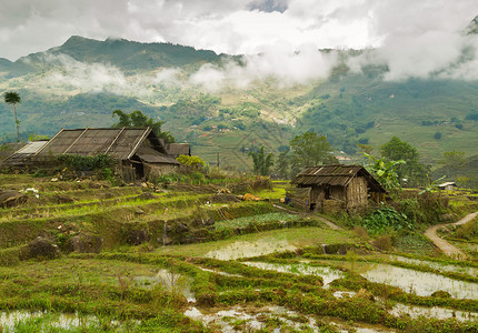 LaoCai省SaPa山上的田地大图片