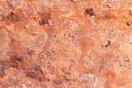 粗糙的红色岩石纹理背景图片