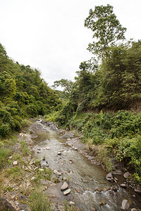 溪流经钦邦山区缅甸缅甸图片