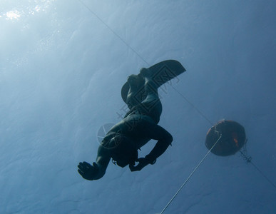Freediver在埃及Dahab蓝洞的释放浮标下图片