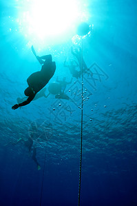 一名自由潜水员开始潜到深水层其他人在海图片