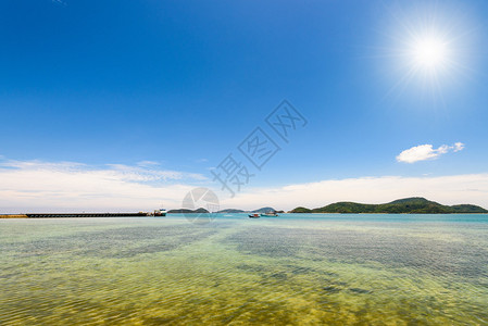 夏日阳光下图片