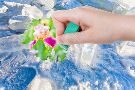 手从图象上用橡皮擦除冰和雪在绿草地上图片