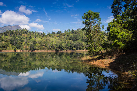斯里兰卡湖中松树的倒影图片