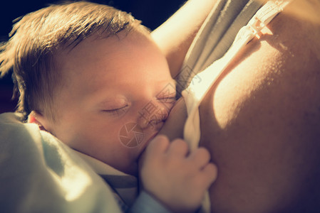 初生婴儿母乳喂养图片
