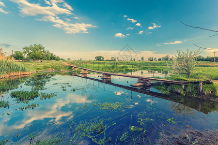 夏月风景河流上带木桥的风图片