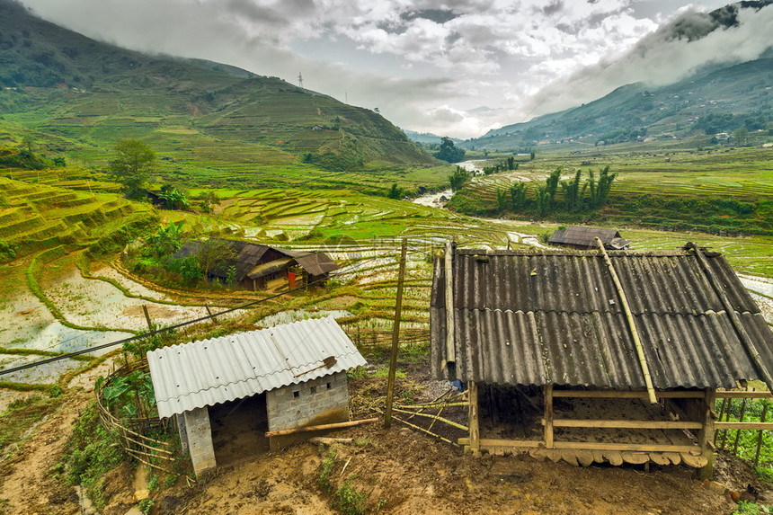 越南老蔡省SaPa山上的地貌山村TerracedRic图片