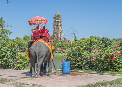 游客骑大象图片