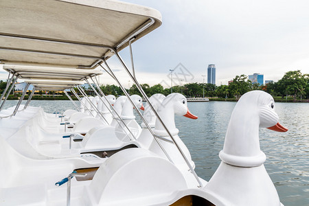 来自泰国曼谷Sirikit王后会议中心的划船高清图片