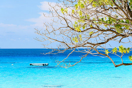从KohMiang岛的海滩透过树枝和绿叶望去美丽的蓝色大海图片