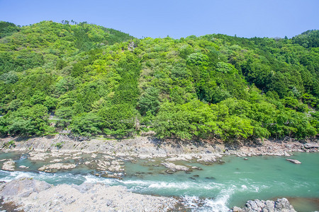 在京都的林山Arash图片