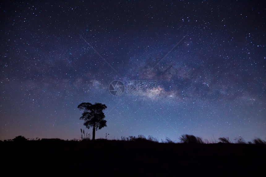树和银河系的剪影长时间曝光照片图片
