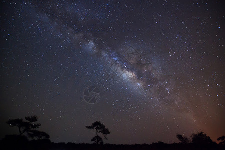 树与云和银河的剪影长时间曝光照片图片
