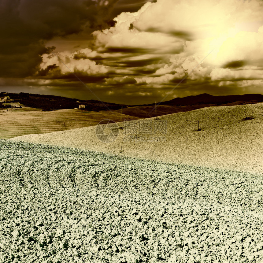 托斯卡纳在日落时分犁过的倾斜山丘图片