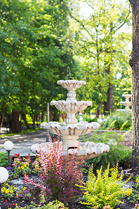 公园里的小喷泉喷泉和花坛图片