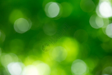 阳光抽象的绿色自然背景有图片