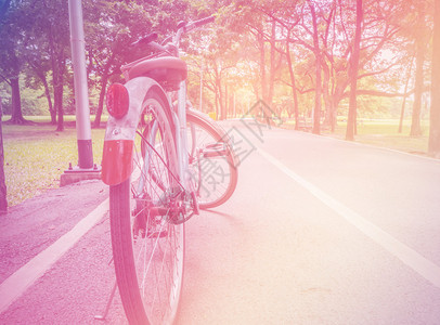 公园的自行车泊以古代色彩调图片
