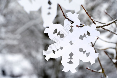 挂在树上的纸雪花图片