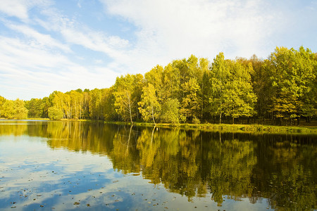 秋天的风景大湖与黄森林在银行的反射图片