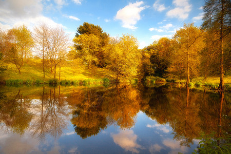 湖面上倒映着秋天树木的自然景观图片