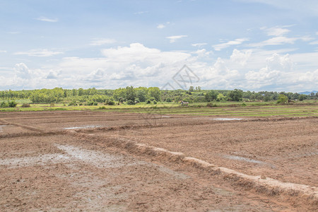 在种植农村之前先土地泰国图片