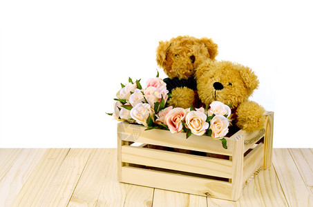 白色背景松木盒中的一对熊和粉红玫瑰背景图片