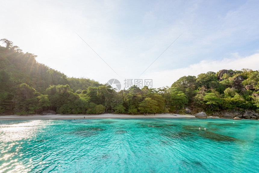 蜜月湾美丽的绿色蓝海滨小海滩是泰国攀牙府穆岛斯米兰公园高棉岛潜图片