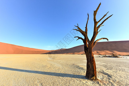 纳米比亚NamibNaukluft公园纳米布沙漠南部图片