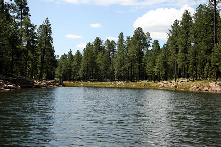 亚利桑那州的柳泉湖图片