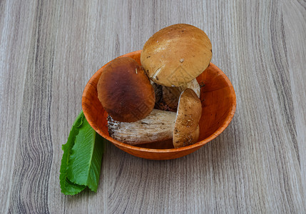 野生蘑菇在木材背景图片