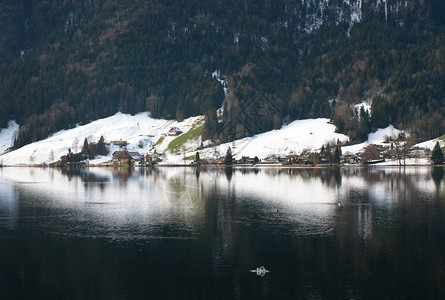 邻近瑞士湖边的一个小高山图片