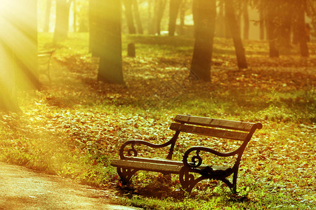 公园长椅美丽的秋天图片