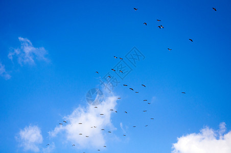 天空背景天空云图片