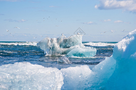 冰山漂浮在海洋中海鸥飞来去图片