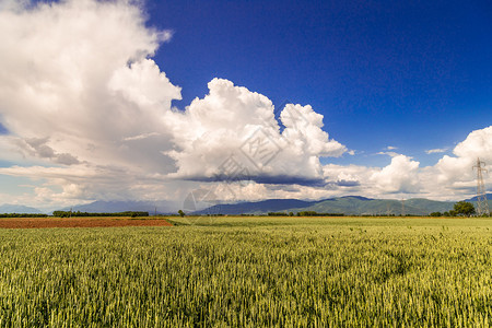 一场风暴正在意大利的田野上空高清图片