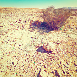 以色列内盖夫沙漠的大巨石Insta图片
