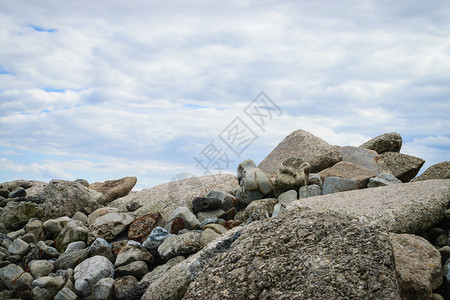 石头有蓝天背景图片