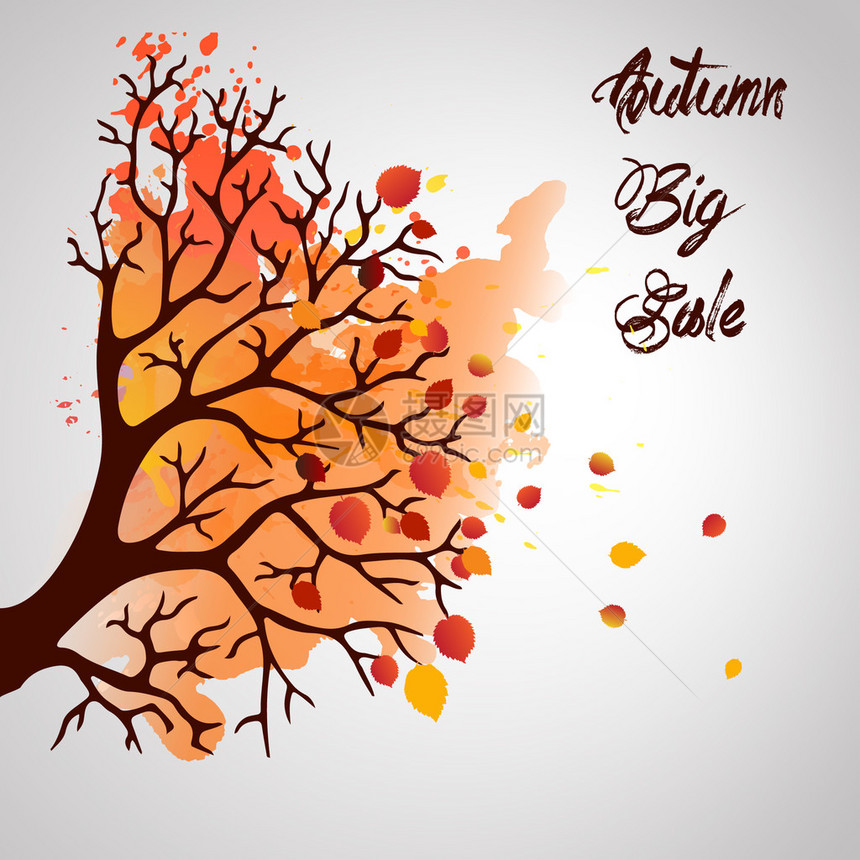 白背景的秋叶树落叶有文字空间和理想平衡颜色的优美设计说明请参见InfoFinl图片