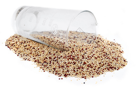 白色和红色谷物Quinoa从一个测量的玻璃杯中倒出图片