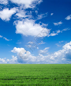 绿色的田野和蓝天背景图片