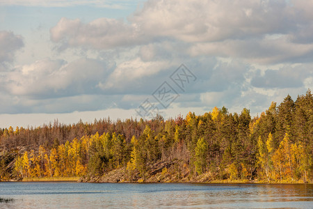 秋天森林湖中的风景图片